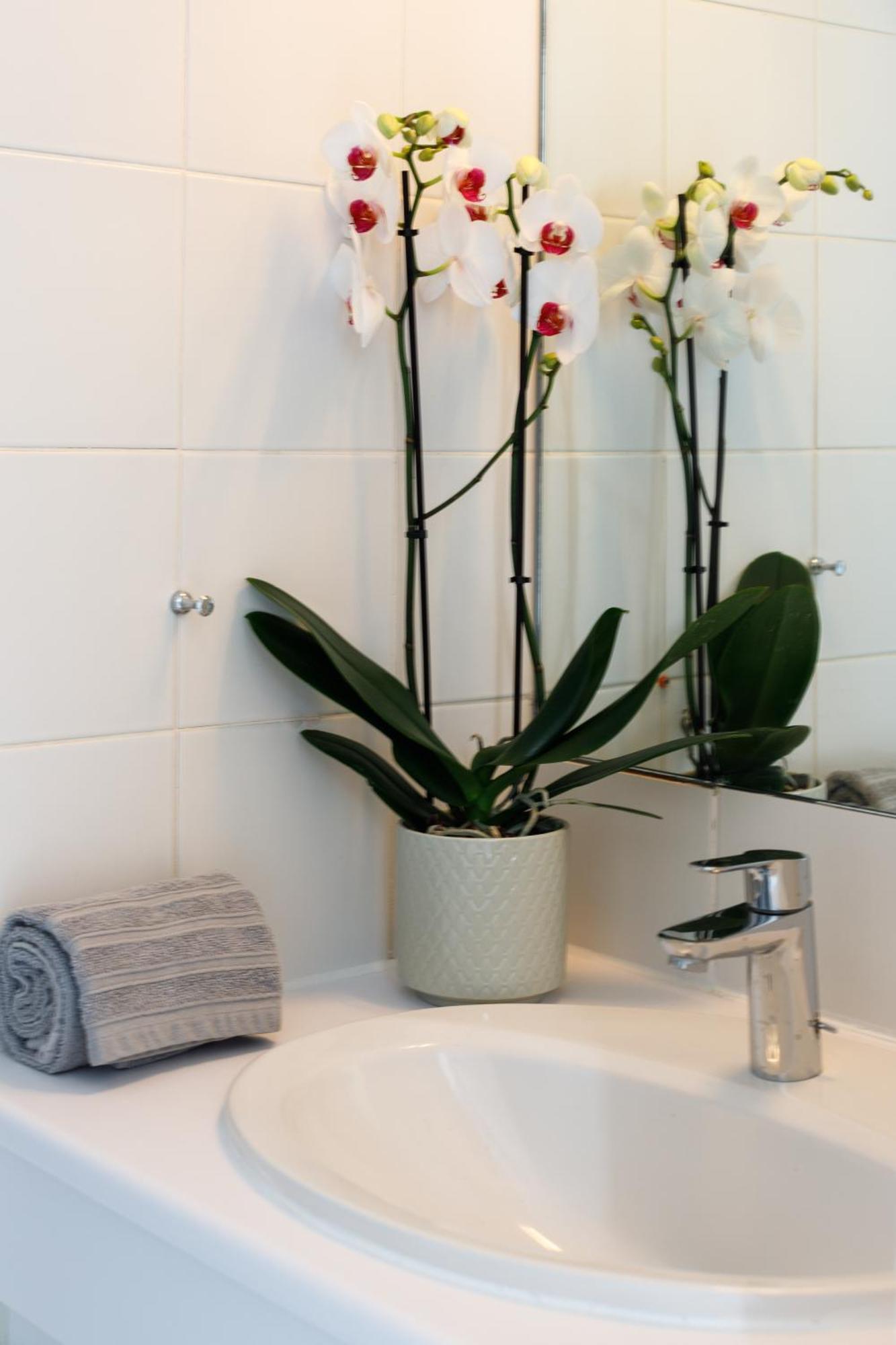 Capsud, La Garde-Freinet Apartment Luaran gambar