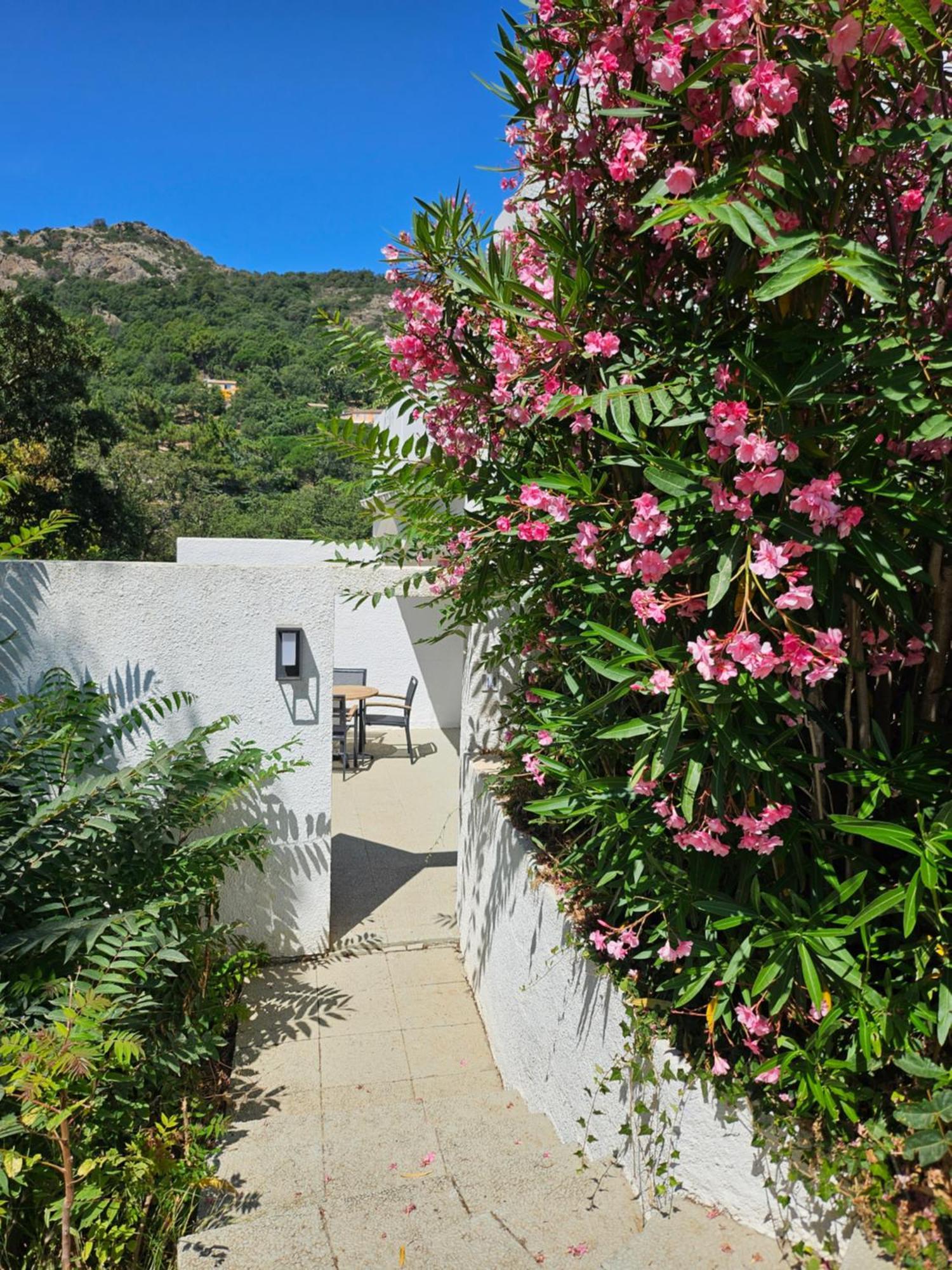 Capsud, La Garde-Freinet Apartment Luaran gambar